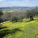House In Umbria With Pool & Garden Views