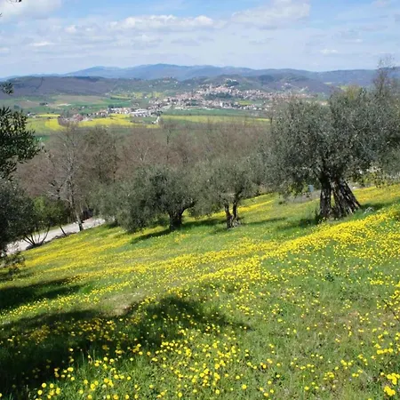House In Umbria With Pool & Garden Views